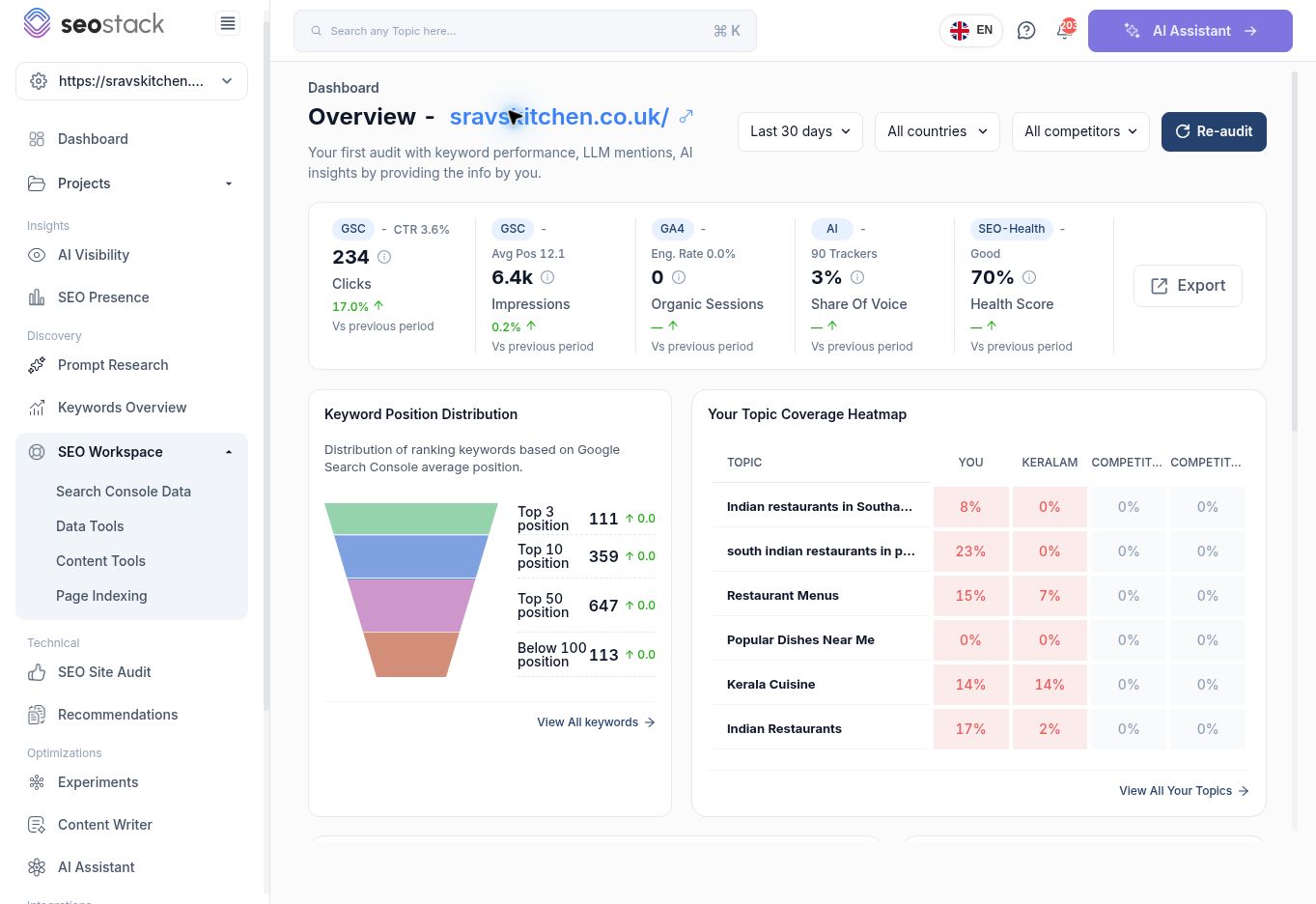 Website Overview showing filters, performance cards, keyword distribution and topic coverage.