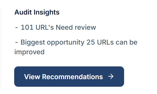 The audit insights panel in SEO Stack noting that 101 URLs need review and that the biggest opportunity is 25 URLs that can be improved